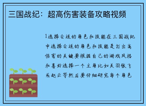 三国战纪：超高伤害装备攻略视频